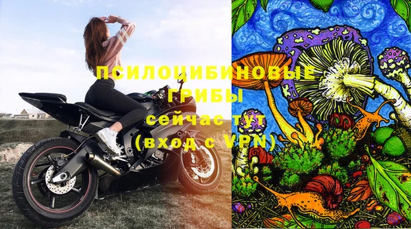 гашик Балабаново