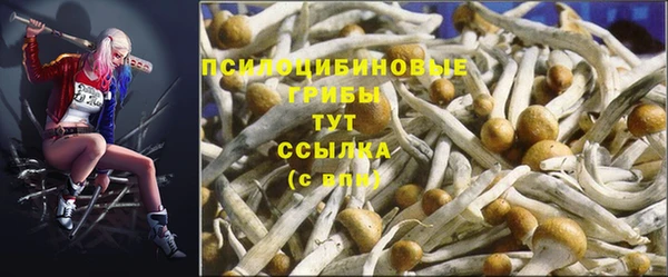 стаф Беломорск