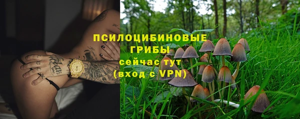 стаф Беломорск