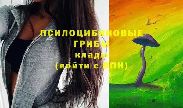 гашик Балабаново
