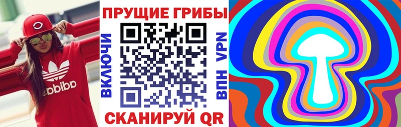 Галлюциногенные грибы Magic Shrooms Заречный